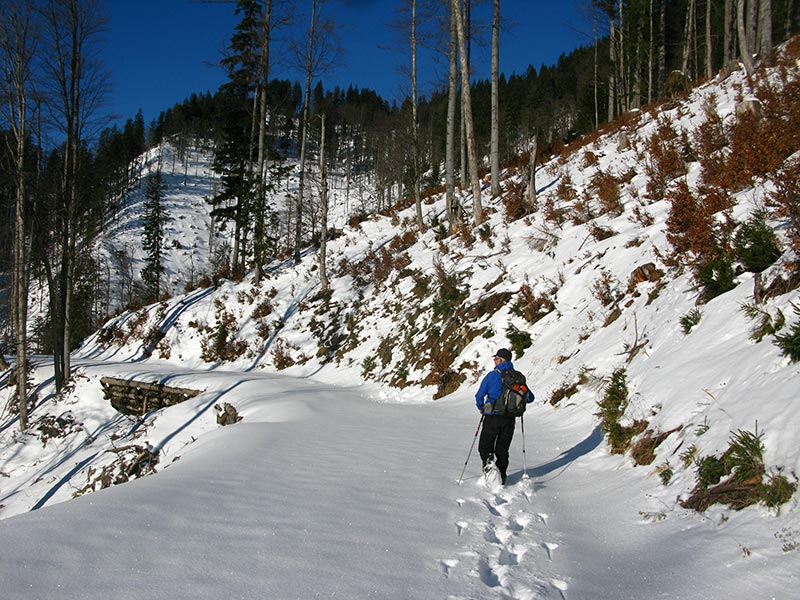 schwarzkogel